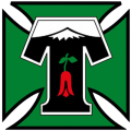 temuco